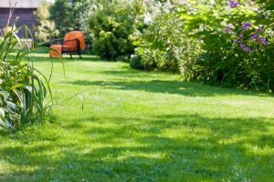 travaux jardin et paysage Orgon